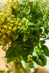 Aromatic herbs
