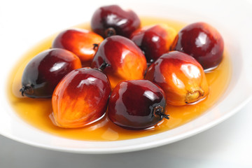 Oil palm fruit and cooking oil