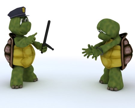 tortoises as cops and robbers