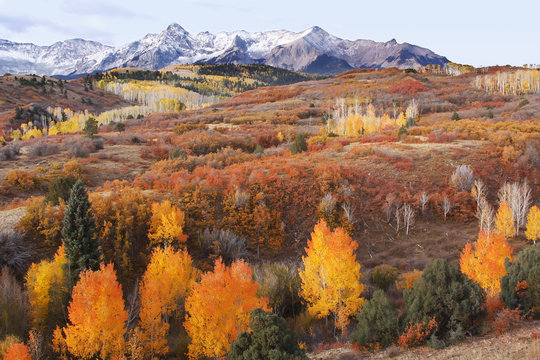 Dallas Divide, Uncompahgre National Forest, Colorado