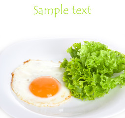 fried egg isolated