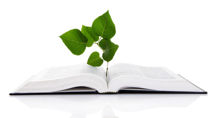 Book with plant isolated on white