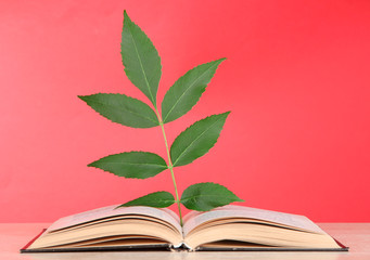 Book with plant on table on red background