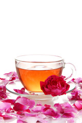 Rose tea isolated on white