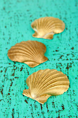 Colorful seashells on color background