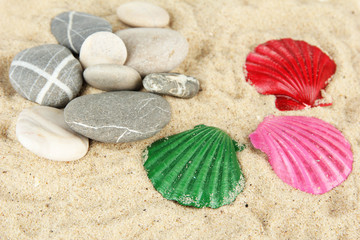 Fototapeta na wymiar Kolorowe muszle na tle piasku