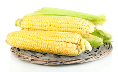 Fresh corn vegetable isolated on white