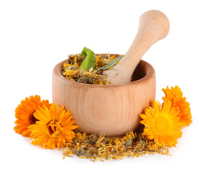 Fresh and dried calendula flowers in wooden mortar  isolated