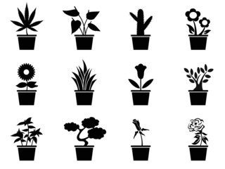 pot plants icons set