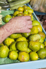 Person picking up delicious bright green figs