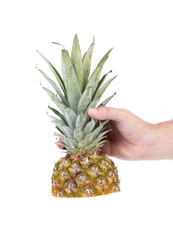 hand holds top of the pineapple