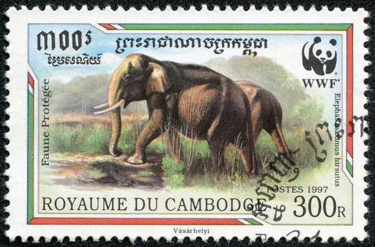 stamp printed in CAMBODIA shows Elephants