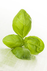 Fresh basil leaves.