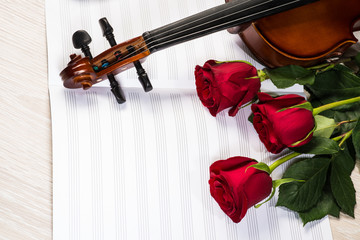 Fototapeta premium Violin, rose and music books