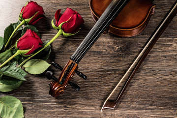 Fototapeta premium Violin, rose and music books