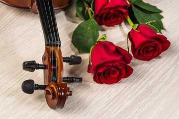 Fototapeta premium Violin, rose and music books