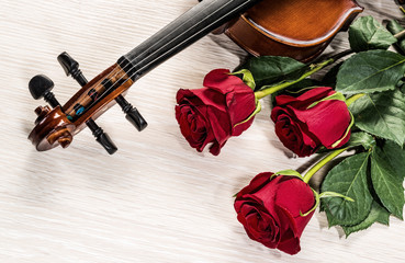 Fototapeta premium Violin, rose and music books
