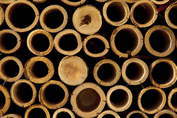 stack of bamboo cuts