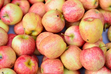 Red apple in the market