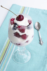 Fruity popsicle.Sweet dessert