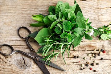 Küchenkräuter © Nailia Schwarz