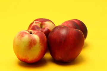 Nectarines on colored background