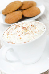 close-up of cocoa with cinnamon, whipped cream, oatmeal cookies