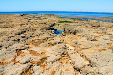 Marée basse