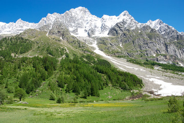 IlMonte Bianco dalla Val Ferret