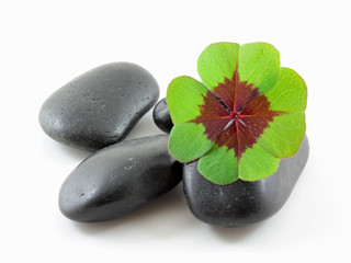 Steiniges Gl&uuml;ck