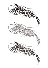 Obraz premium エビ