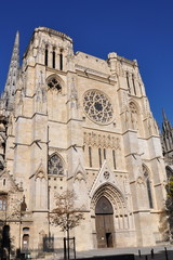Fototapeta na wymiar Francja, Akwitania, Bordeaux, Saint André Cathedral