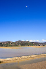 View of Salt evaporation ponds in Secovlje