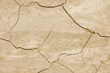 Fototapeta premium Dry and cracked soil texture