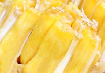 Juicy jackfruit flesh