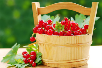 fresh red currant in wooden basket