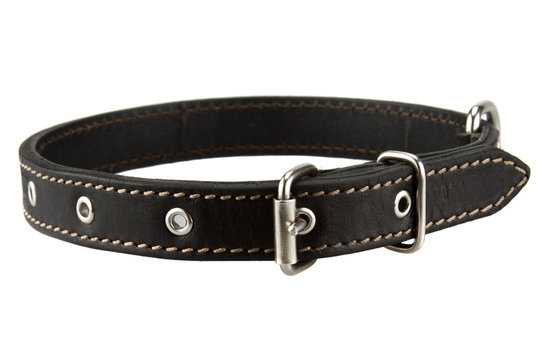 Black leather dog collar isolated on white background