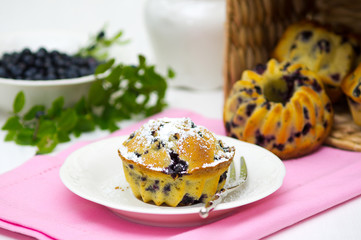 Maize (corn) muffins with wild bilberries for breakfest