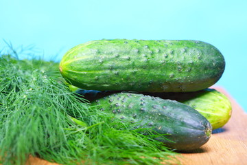 bunch fresh dill and cucumbers on wooden table
