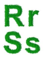 Green grass alphabet