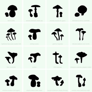 Set of  inedible and poisonous mushroom silhouettes