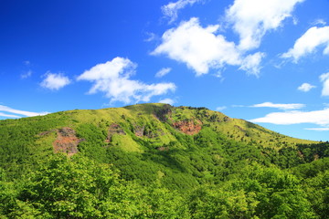Mountain in summer, Mt. Nekodake, Nagano, Japan