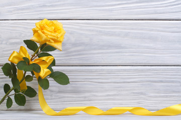 Yellow rose with a beautiful bow and a gold ribbon
