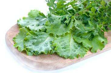Salad mix with rucola, frisee, radicchio and lamb's lettuce