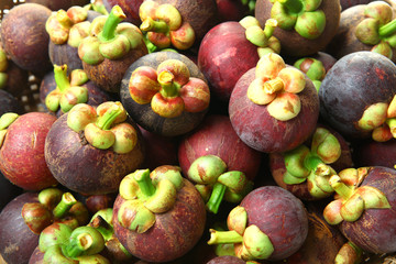 Mangosteen Thai fruit