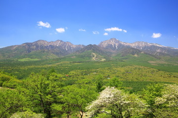 Fototapeta na wymiar Mt. Yatsugatake of fresh green, Nagano, Japan