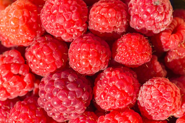 fresh raspberry background