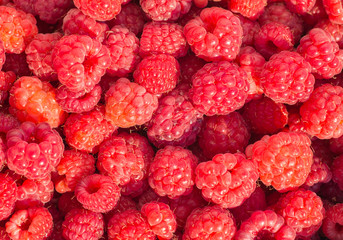 fresh raspberry background