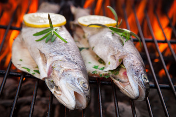 Grilled trouts