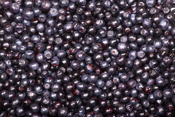 Freshly blueberries